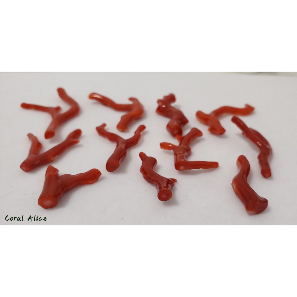 🌟Coral珊寶手作-天然阿卡珊瑚自然枝(無孔) CO2P1-824-細節圖11