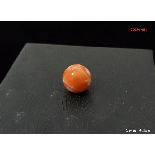 🌟Coral珊寶手作-天然MOMO珊瑚圓珠(無孔) 11.8mm CO2P1-831