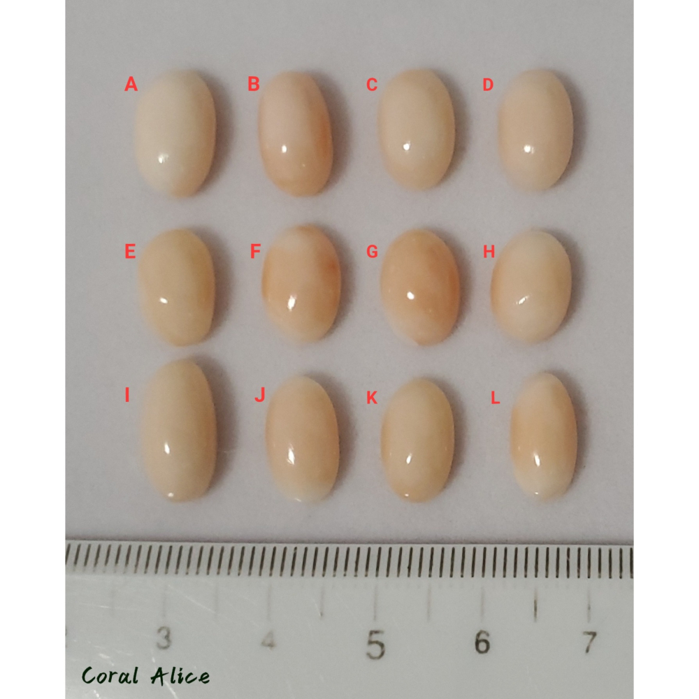 🌟Coral珊寶手作-天然淺水珊瑚蛋面裸石 CO2P1-834-細節圖11