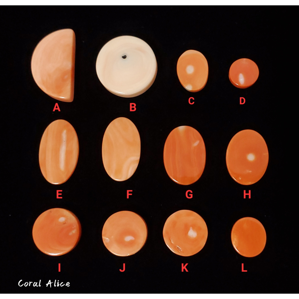 🌟Coral珊寶手作-天然momo珊瑚圓片裸石(無孔) #天然珊瑚 #寶石珊瑚 CO2P1-855-細節圖2