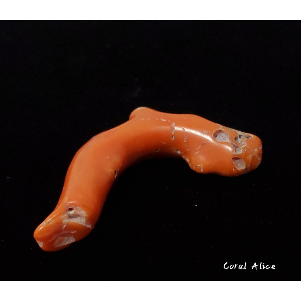 🌟Coral珊寶手作-天然阿卡老珊瑚塊 43.9mm CO2P1-856-細節圖3