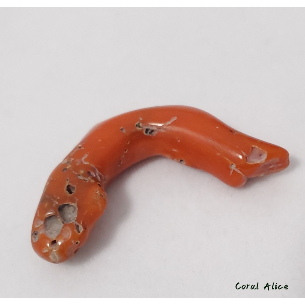 🌟Coral珊寶手作-天然阿卡老珊瑚塊 43.9mm CO2P1-856-細節圖5
