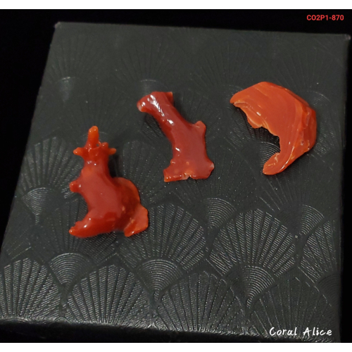🌟Coral珊寶手作-天然阿卡珊瑚/紅珊瑚塊 19.7-21.8mm CO2P1-870