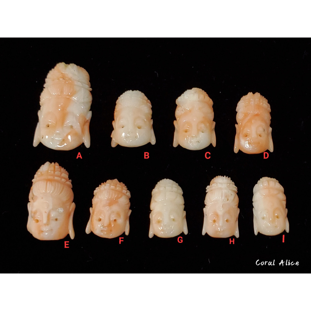 🌟Coral珊寶手作-天然深水珊瑚純手工雕刻件(頂孔) CO2P1-896-細節圖2