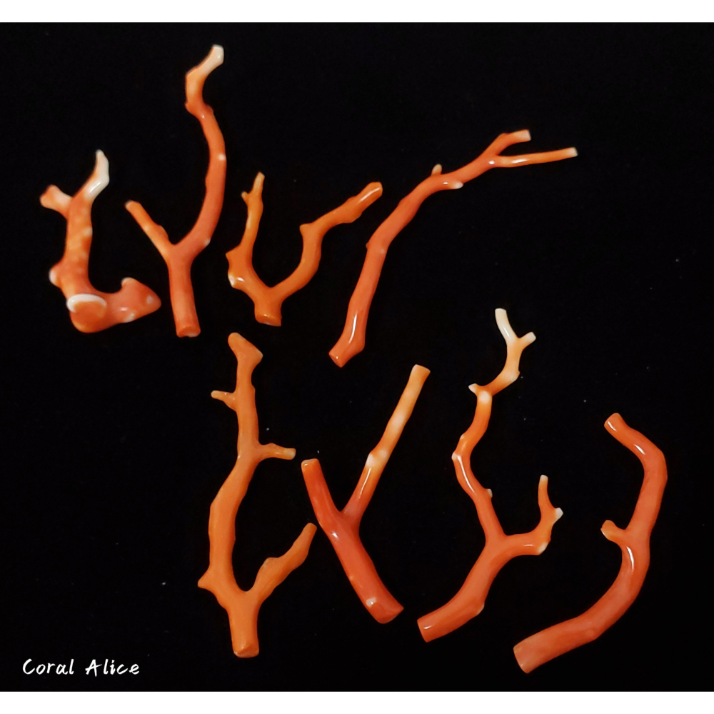🌟Coral珊寶手作-天然momo/阿卡珊瑚自然枝 CO2P1-920-細節圖6