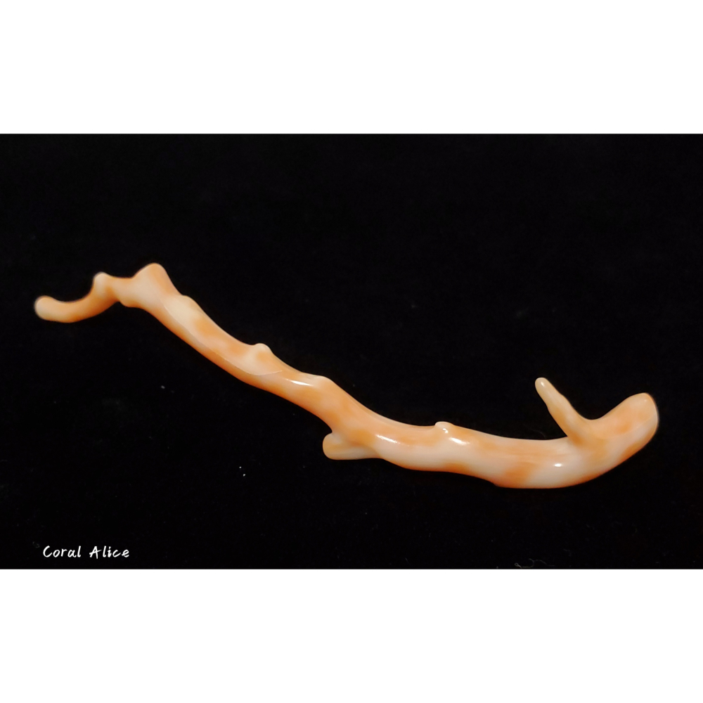 🌟Coral珊寶手作-天然深水珊瑚自然枝10.7cm CO2P1-931-細節圖3