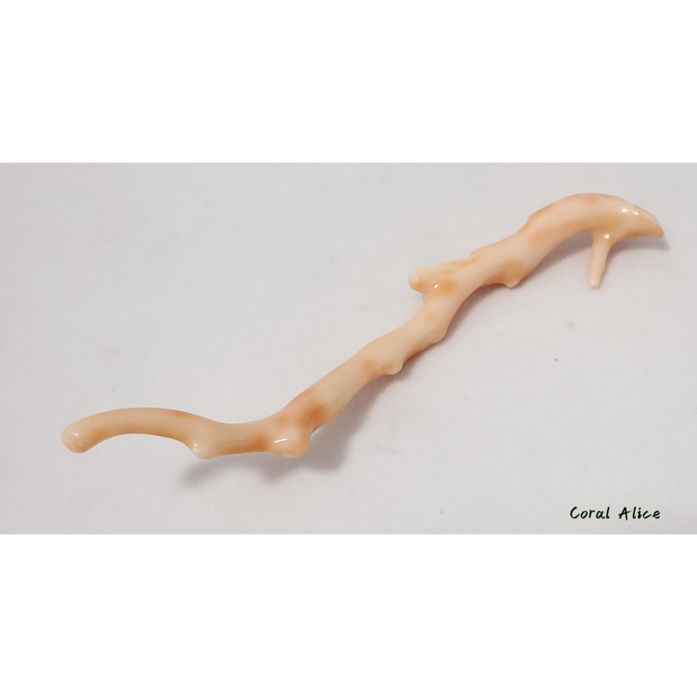 🌟Coral珊寶手作-天然深水珊瑚自然枝10.7cm CO2P1-931-細節圖7