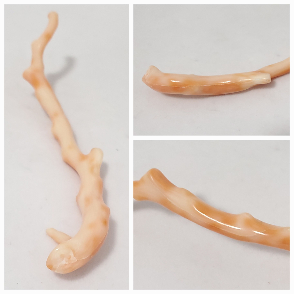 🌟Coral珊寶手作-天然深水珊瑚自然枝10.7cm CO2P1-931-細節圖8