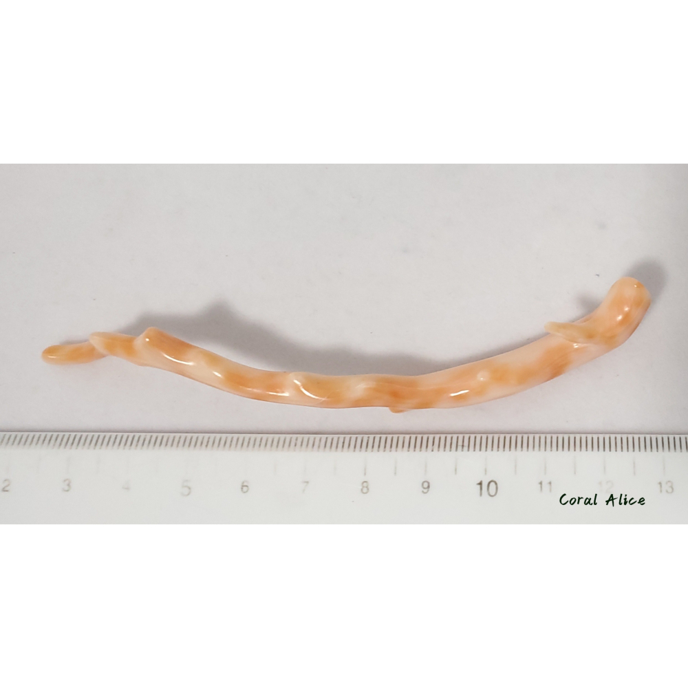 🌟Coral珊寶手作-天然深水珊瑚自然枝10.7cm CO2P1-931-細節圖9