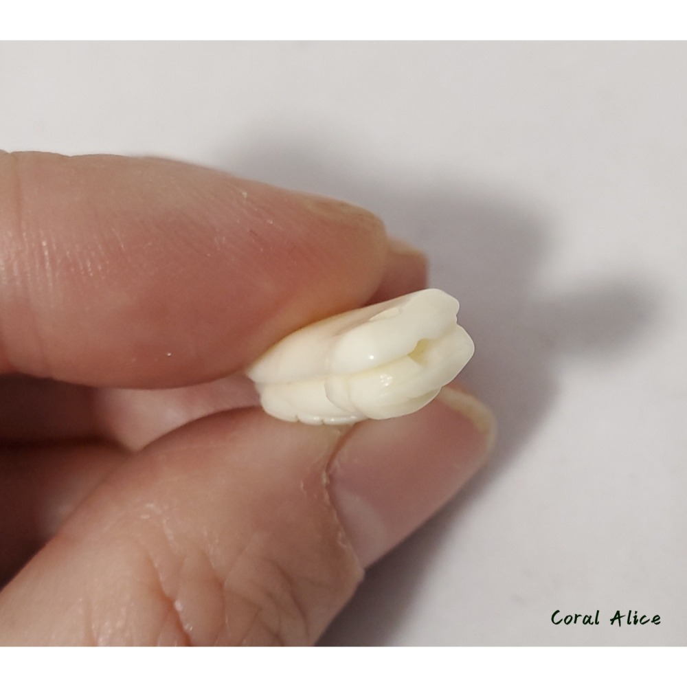 🌟Coral珊寶手作-天然白珊瑚純手工雕刻吊墜(頂通孔) 28.4mm CO2P1-937-細節圖7