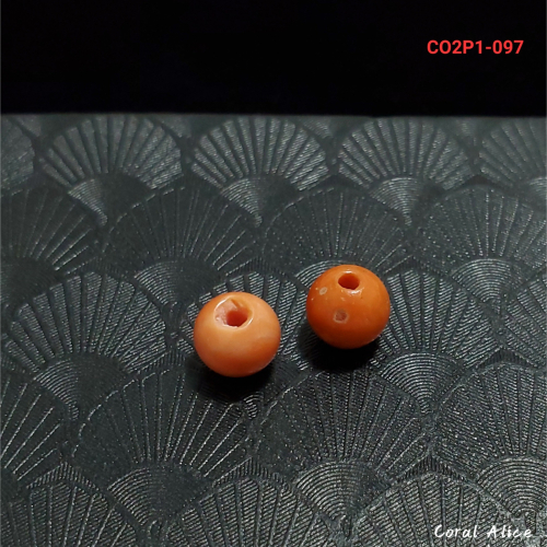🌟Coral珊寶手作-天然momo珊瑚圓珠 (大直通孔) CO2P1-097