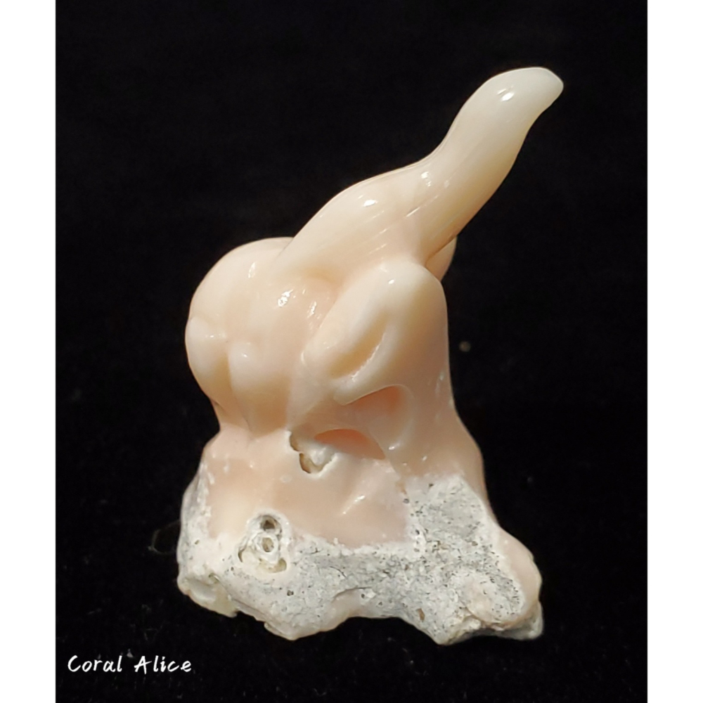 🌟Coral珊寶手作-天然粉珊瑚純手工雕刻擺件 29.2*19.2mm CO2P1-940-細節圖3