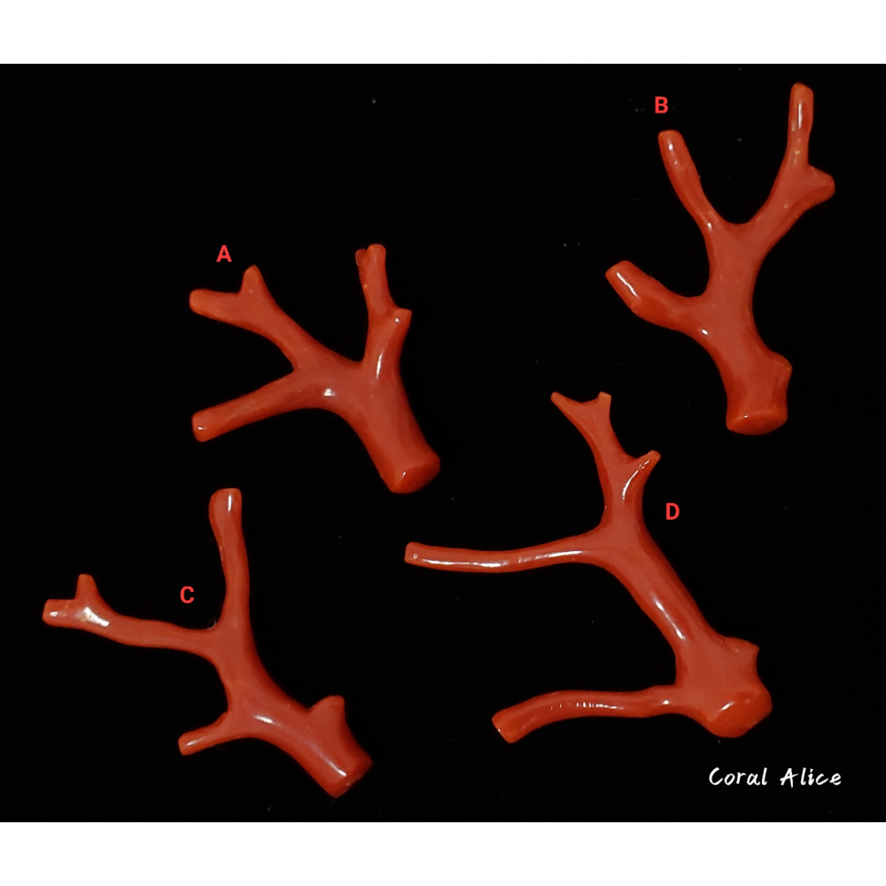 🌟Coral珊寶手作-天然沙丁紅珊瑚自然枝 CO2P1-941-細節圖3