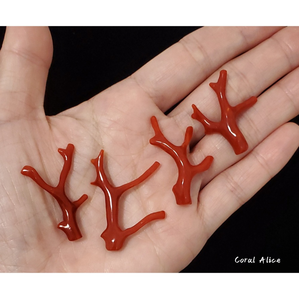 🌟Coral珊寶手作-天然沙丁紅珊瑚自然枝 CO2P1-941-細節圖5