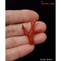 🌟Coral珊寶手作-天然沙丁紅珊瑚自然枝 CO2P1-941-規格圖8