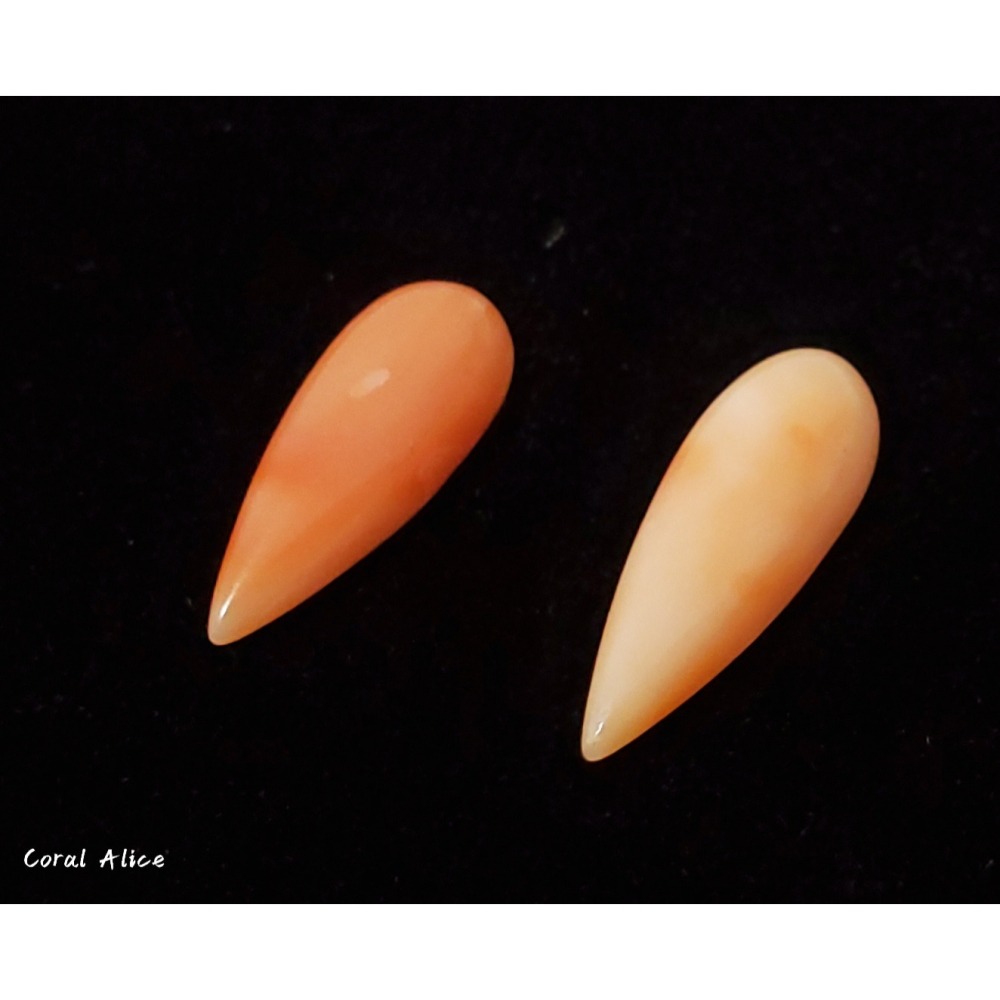 🌟Coral珊寶手作-天然深水珊瑚水滴造型裸石 CO2P1-943-細節圖3