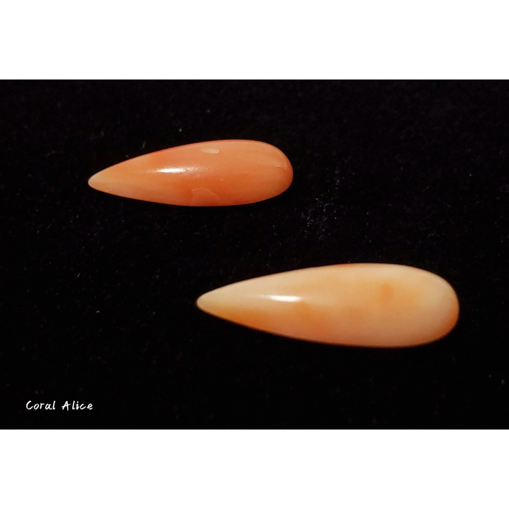 🌟Coral珊寶手作-天然深水珊瑚水滴造型裸石 CO2P1-943-細節圖4