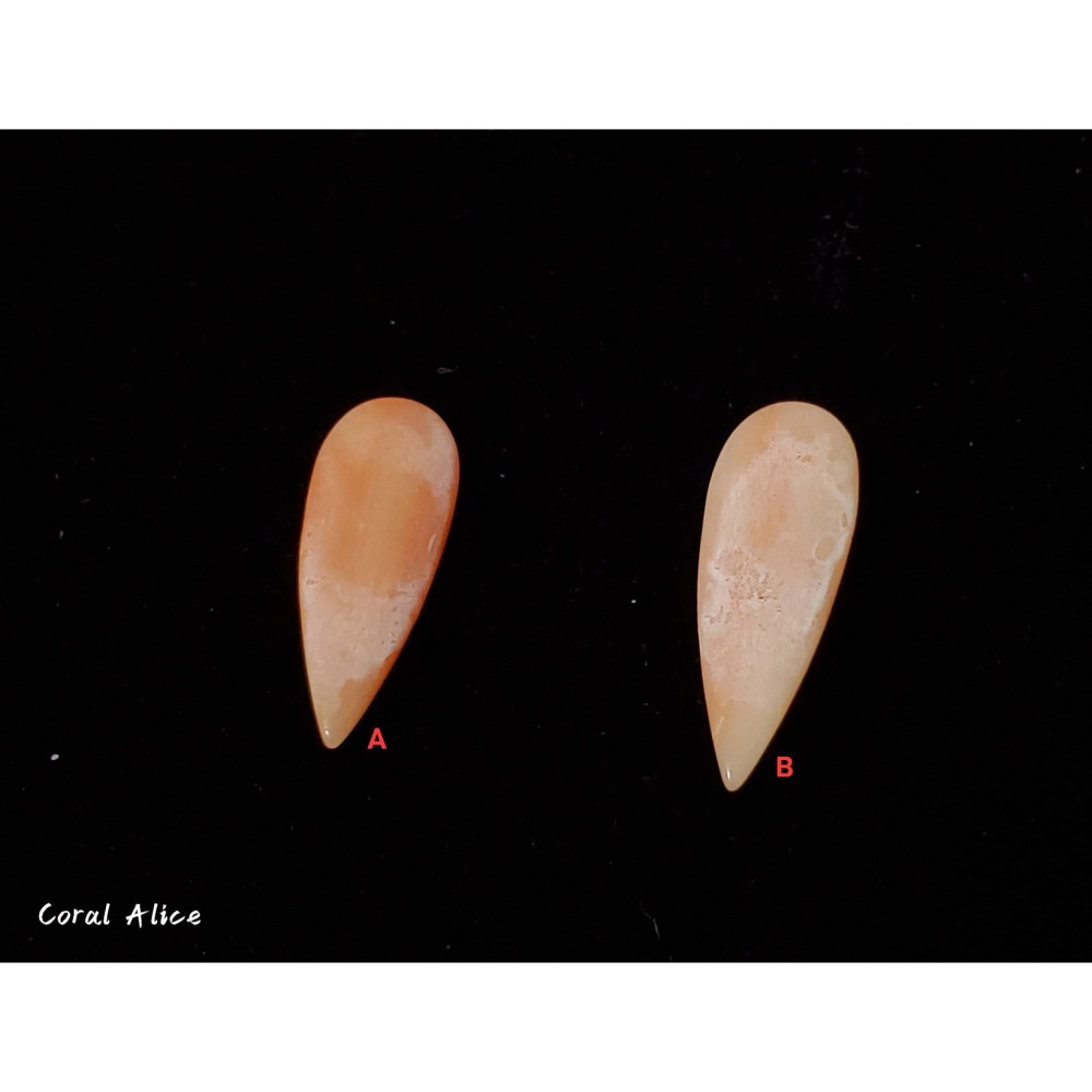 🌟Coral珊寶手作-天然深水珊瑚水滴造型裸石 CO2P1-943-細節圖6