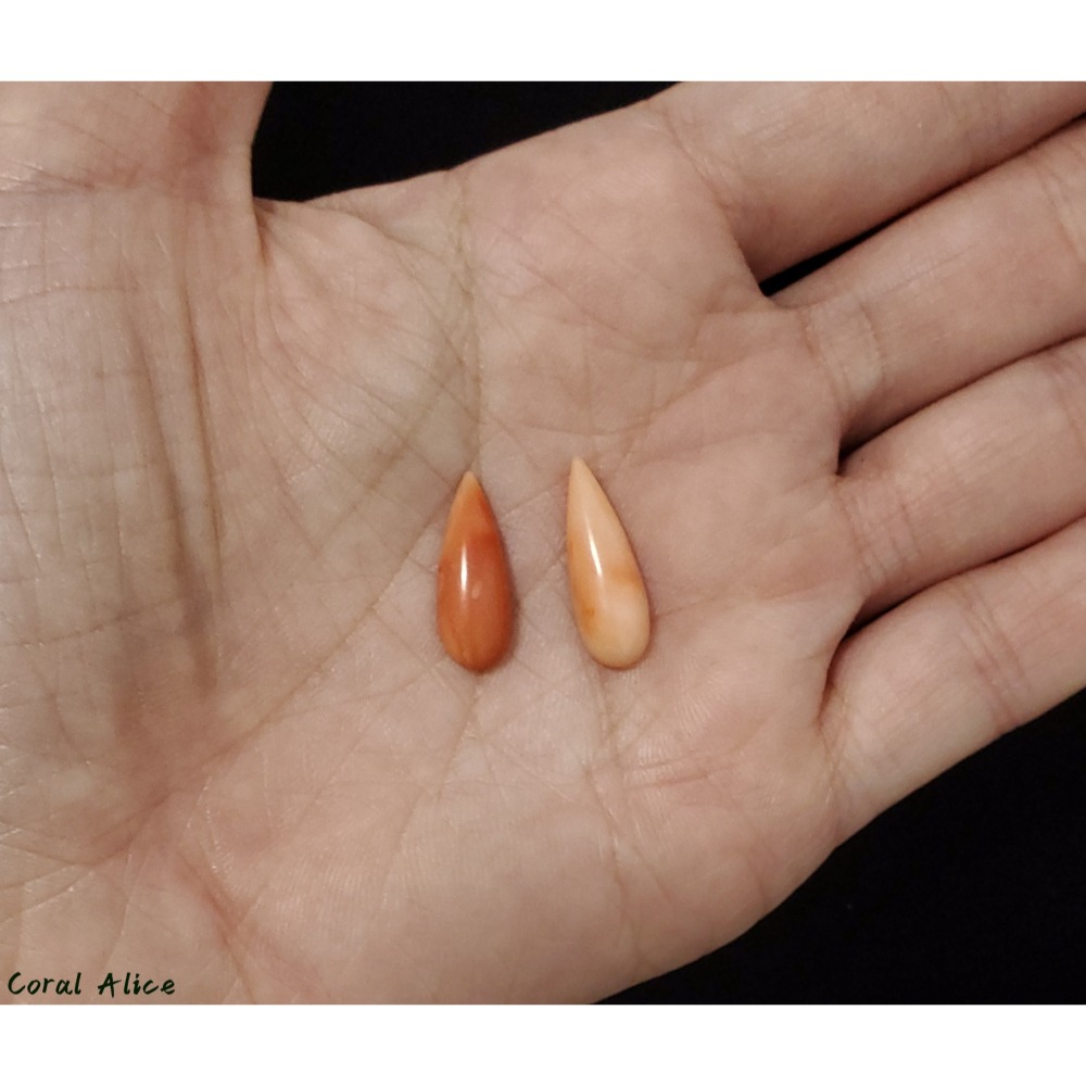 🌟Coral珊寶手作-天然深水珊瑚水滴造型裸石 CO2P1-943-細節圖7