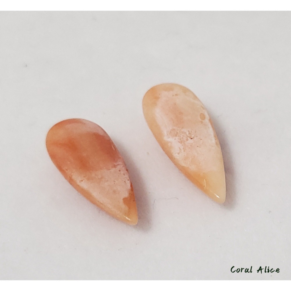 🌟Coral珊寶手作-天然深水珊瑚水滴造型裸石 CO2P1-943-細節圖8