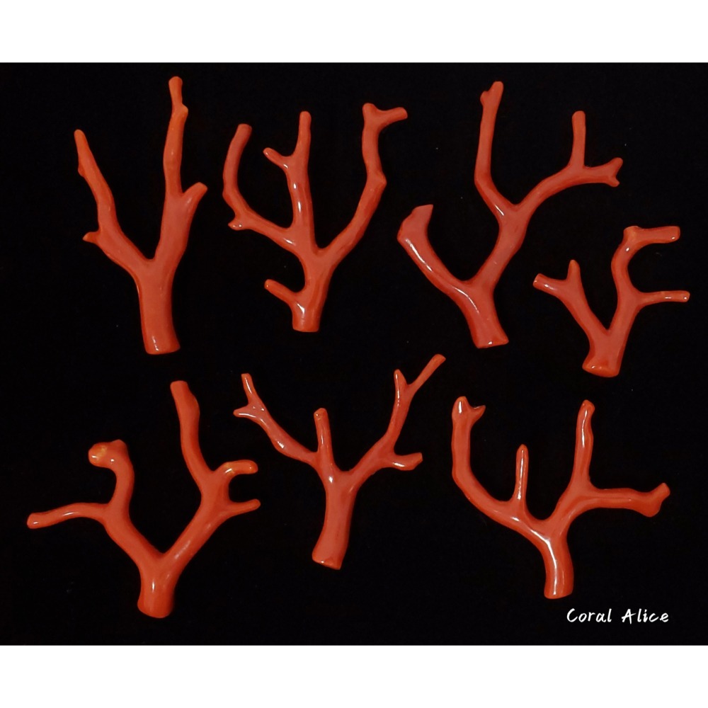 🌟Coral珊寶手作-天然沙丁珊瑚/紅珊瑚自然枝 #天然珊瑚 CO2P1-944-細節圖3