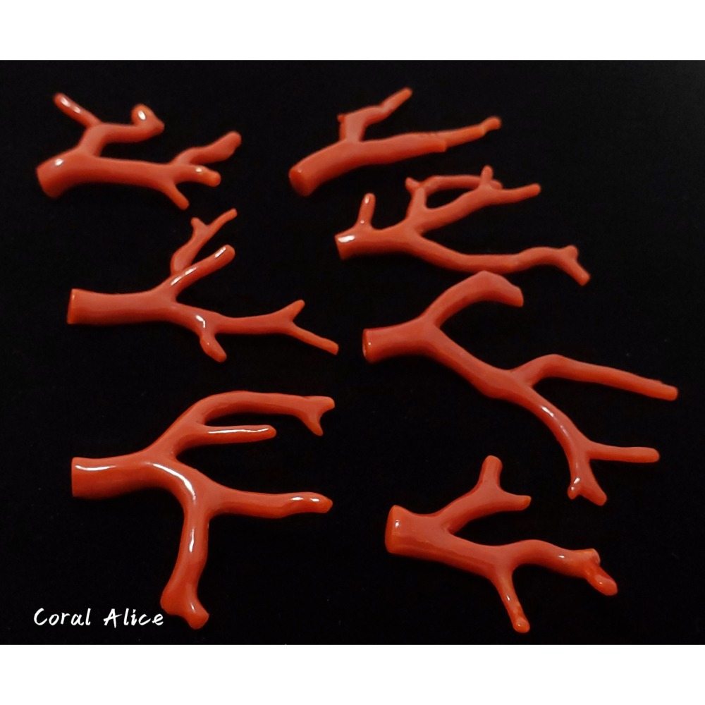 🌟Coral珊寶手作-天然沙丁珊瑚/紅珊瑚自然枝 #天然珊瑚 CO2P1-944-細節圖7