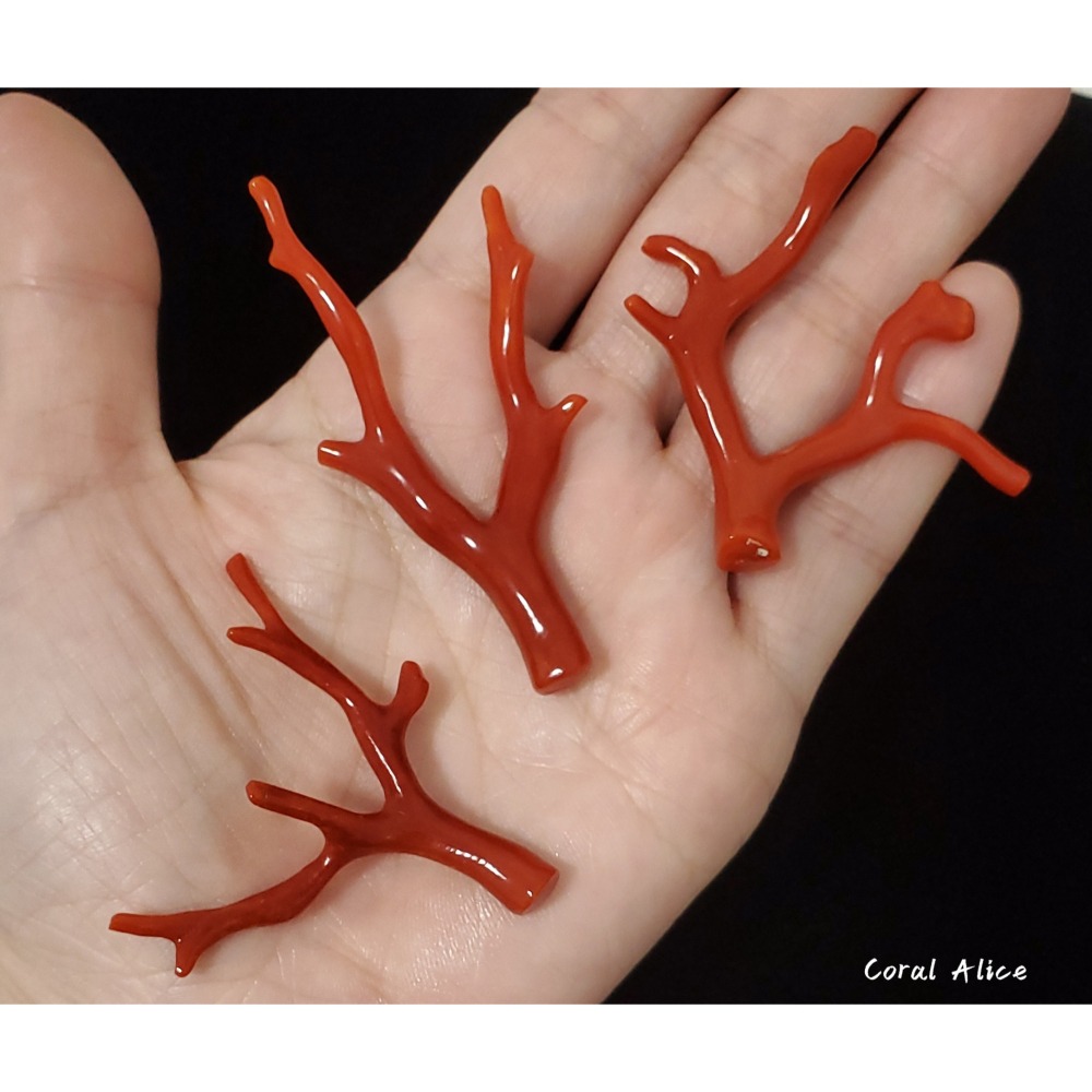 🌟Coral珊寶手作-天然沙丁珊瑚/紅珊瑚自然枝 #天然珊瑚 CO2P1-944-細節圖8