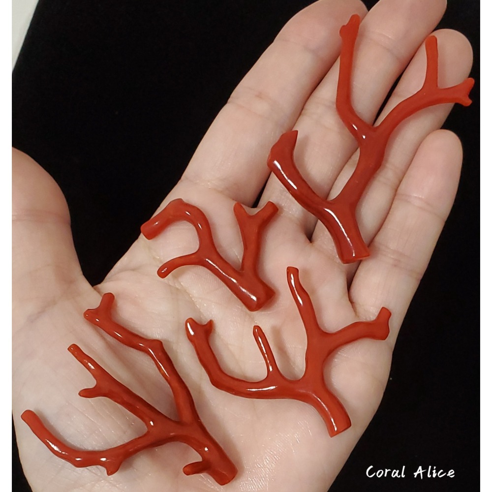 🌟Coral珊寶手作-天然沙丁珊瑚/紅珊瑚自然枝 #天然珊瑚 CO2P1-944-細節圖9