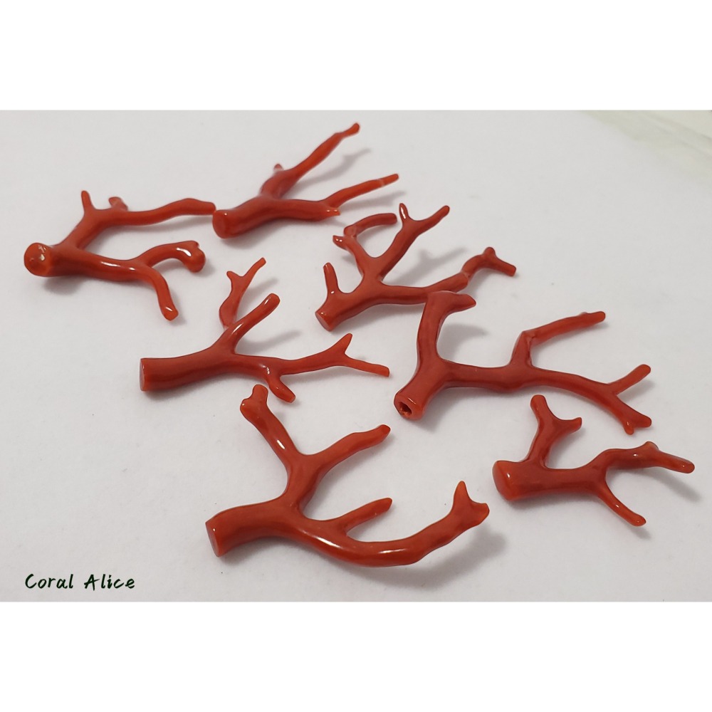 🌟Coral珊寶手作-天然沙丁珊瑚/紅珊瑚自然枝 #天然珊瑚 CO2P1-944-細節圖10