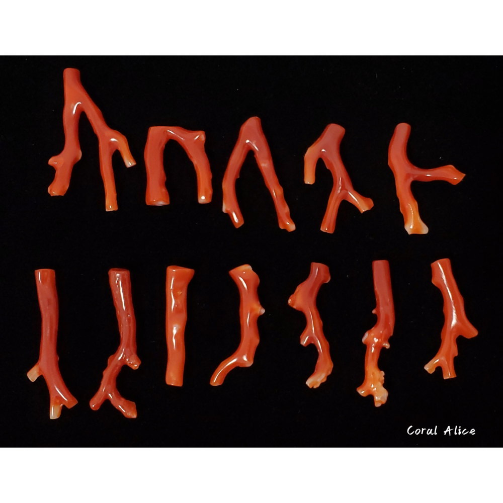 🌟Coral珊寶手作-天然阿卡珊瑚自然枝(無孔)19.4-37.4mm CO2P1-957-細節圖6