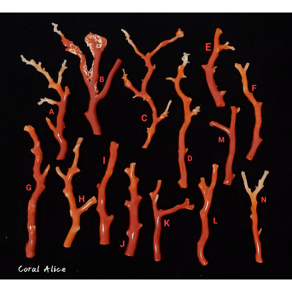 🌟Coral珊寶手作-天然阿卡珊瑚 紅珊瑚自然枝(無孔) CO2P1-958-細節圖3