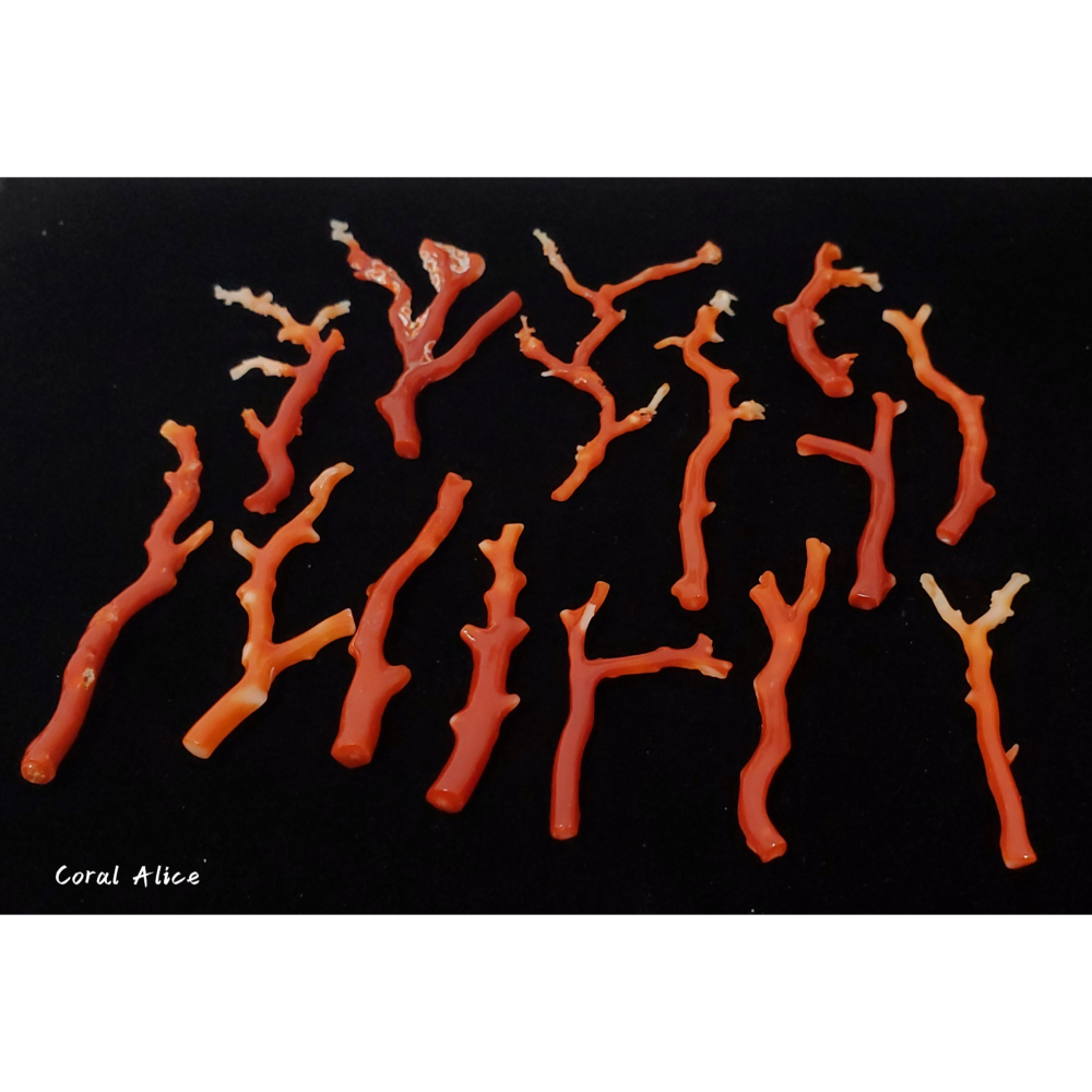 🌟Coral珊寶手作-天然阿卡珊瑚 紅珊瑚自然枝(無孔) CO2P1-958-細節圖4