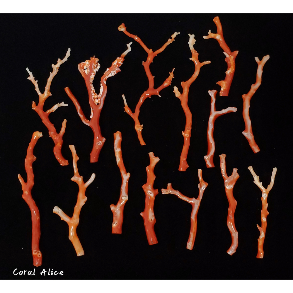 🌟Coral珊寶手作-天然阿卡珊瑚 紅珊瑚自然枝(無孔) CO2P1-958-細節圖5