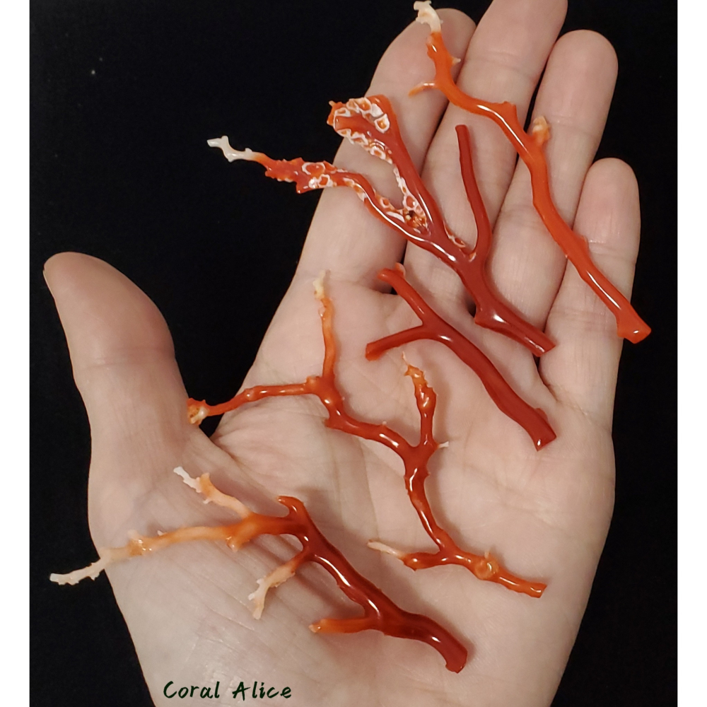 🌟Coral珊寶手作-天然阿卡珊瑚 紅珊瑚自然枝(無孔) CO2P1-958-細節圖8