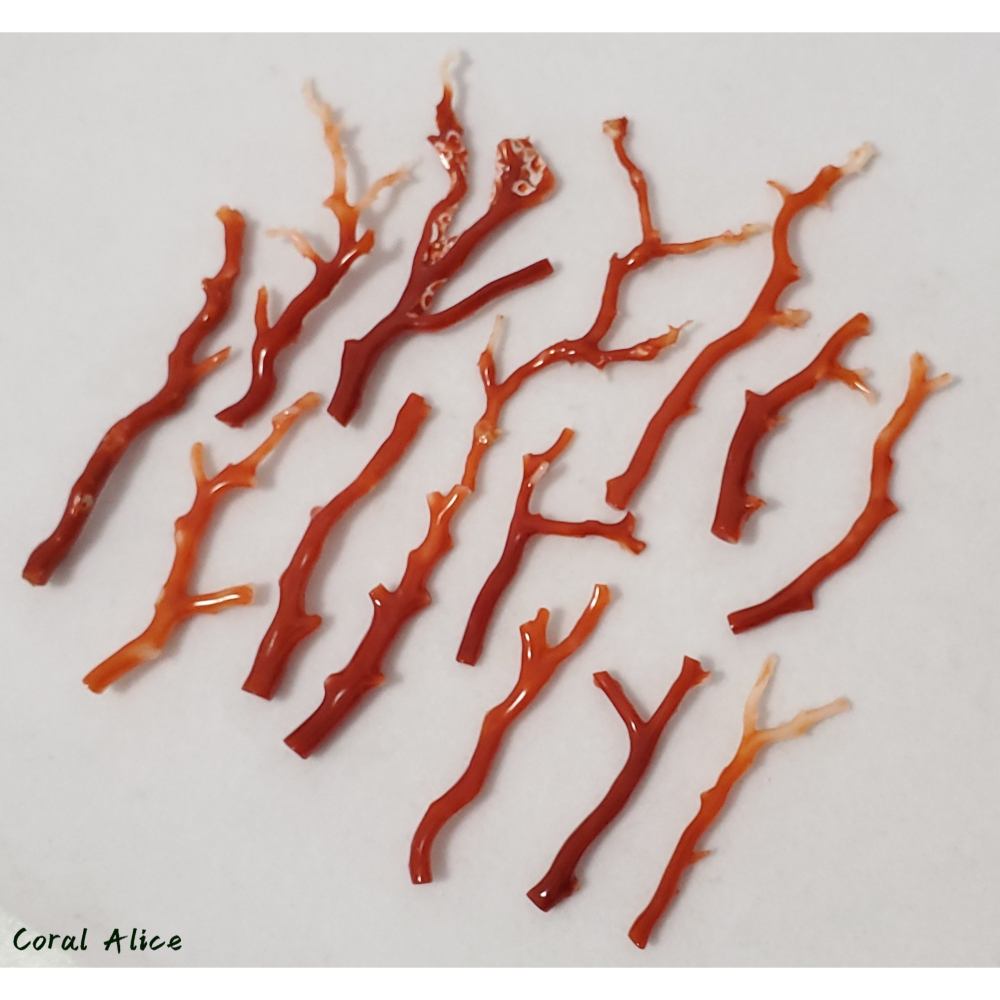🌟Coral珊寶手作-天然阿卡珊瑚 紅珊瑚自然枝(無孔) CO2P1-958-細節圖9