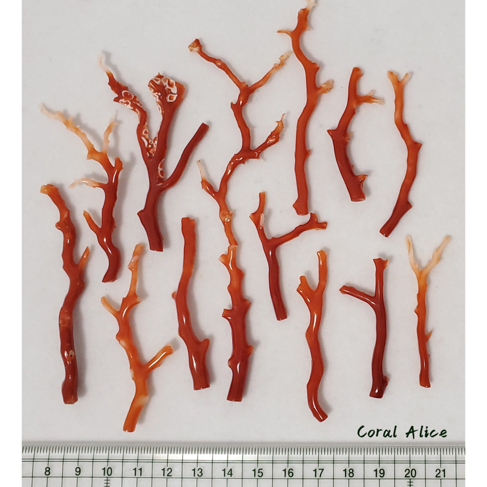 🌟Coral珊寶手作-天然阿卡珊瑚 紅珊瑚自然枝(無孔) CO2P1-958-細節圖11