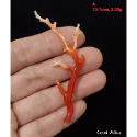 🌟Coral珊寶手作-天然阿卡珊瑚 紅珊瑚自然枝(無孔) CO2P1-958-規格圖11