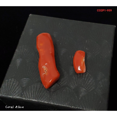 🌟Coral珊寶手作-天然阿卡珊瑚/紅珊瑚自然枝 CO2P1-959