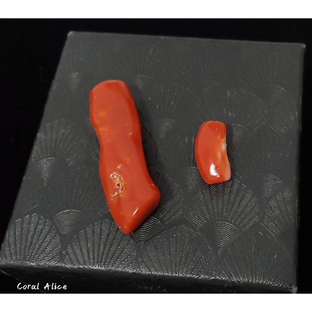 🌟Coral珊寶手作-天然阿卡珊瑚/紅珊瑚自然枝 CO2P1-959-細節圖2