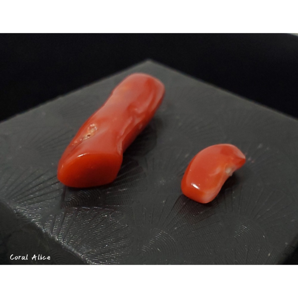 🌟Coral珊寶手作-天然阿卡珊瑚/紅珊瑚自然枝 CO2P1-959-細節圖3