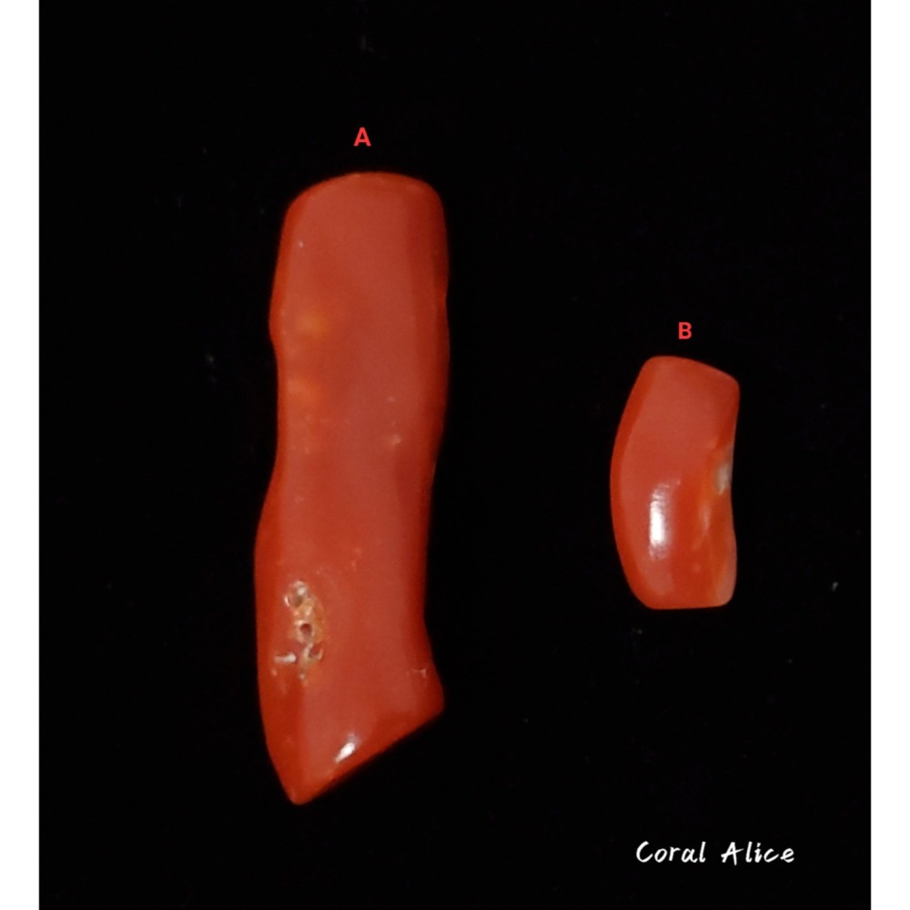 🌟Coral珊寶手作-天然阿卡珊瑚/紅珊瑚自然枝 CO2P1-959-細節圖4