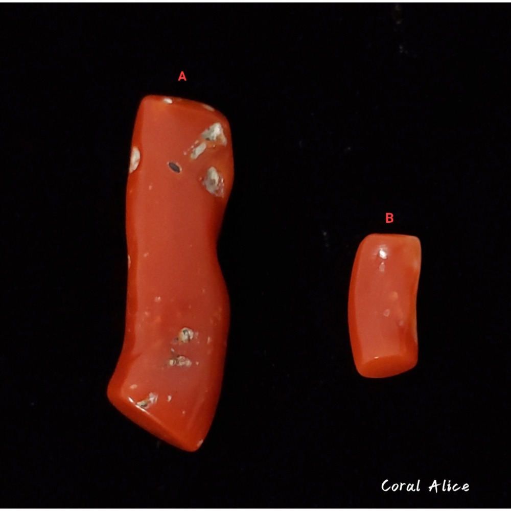 🌟Coral珊寶手作-天然阿卡珊瑚/紅珊瑚自然枝 CO2P1-959-細節圖5