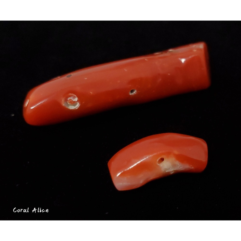 🌟Coral珊寶手作-天然阿卡珊瑚/紅珊瑚自然枝 CO2P1-959-細節圖7