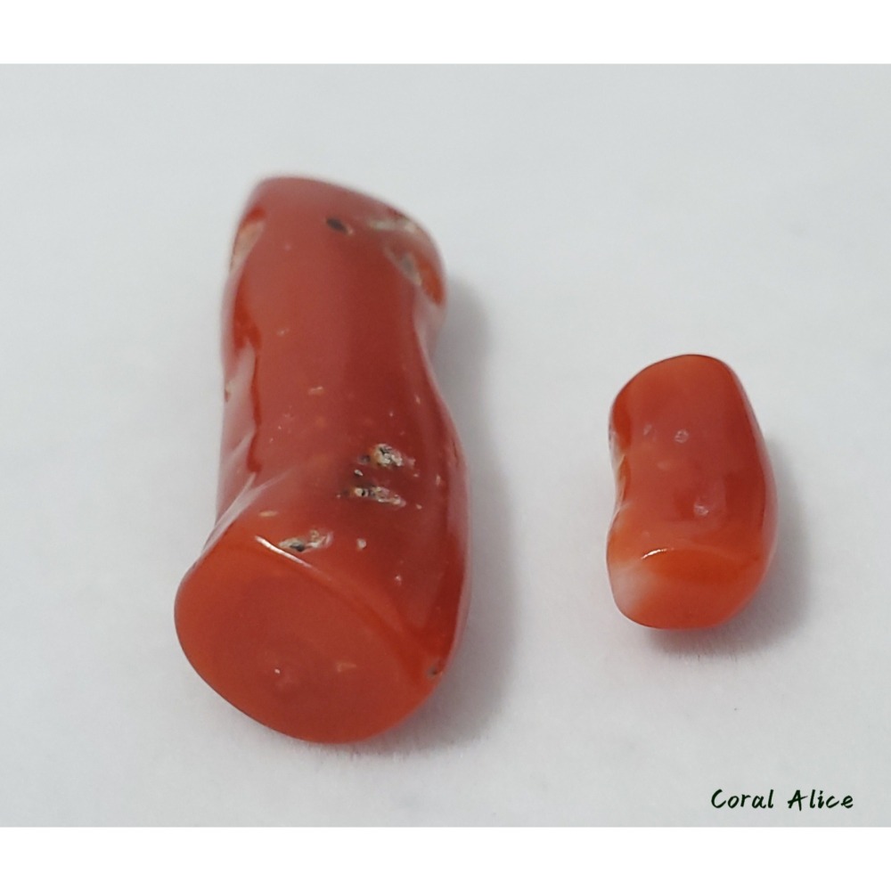 🌟Coral珊寶手作-天然阿卡珊瑚/紅珊瑚自然枝 CO2P1-959-細節圖8