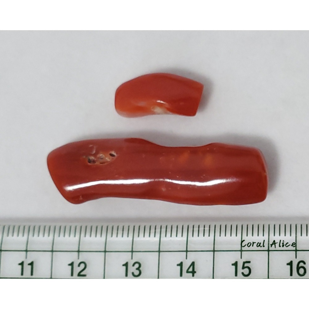 🌟Coral珊寶手作-天然阿卡珊瑚/紅珊瑚自然枝 CO2P1-959-細節圖11