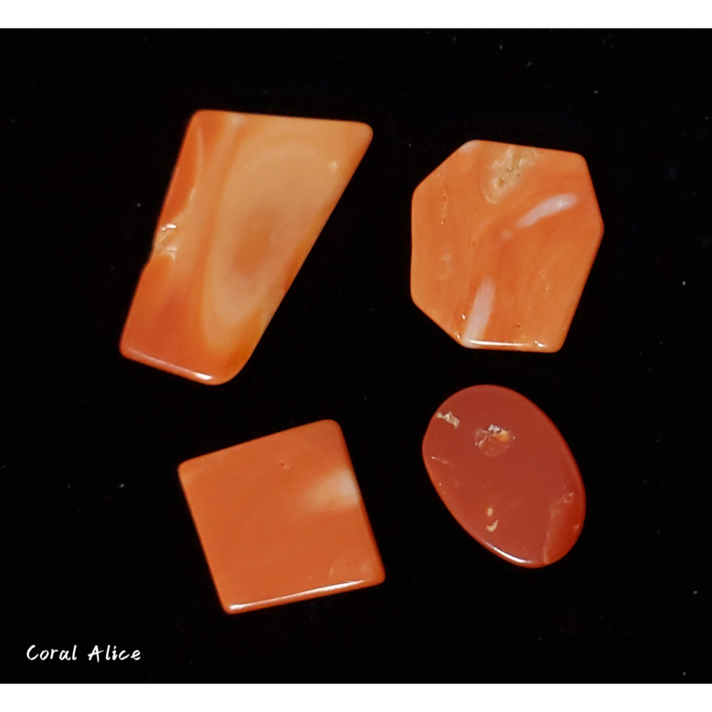 🌟Coral珊寶手作-天然momo珊瑚/阿卡珊瑚片狀裸石(無孔) #金工 #珠寶設計 #鑲嵌 CO2P1-960-細節圖5
