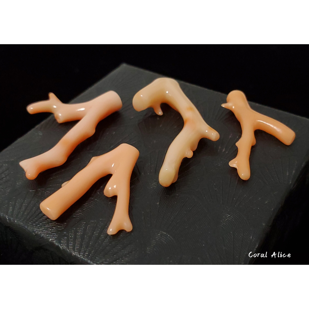 🌟Coral珊寶手作-天然深水珊瑚自然枝(頂半孔) CO2P1-961-細節圖2