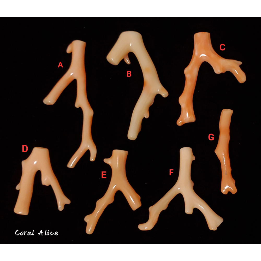 🌟Coral珊寶手作-天然深水珊瑚自然枝(頂半孔) CO2P1-961-細節圖3