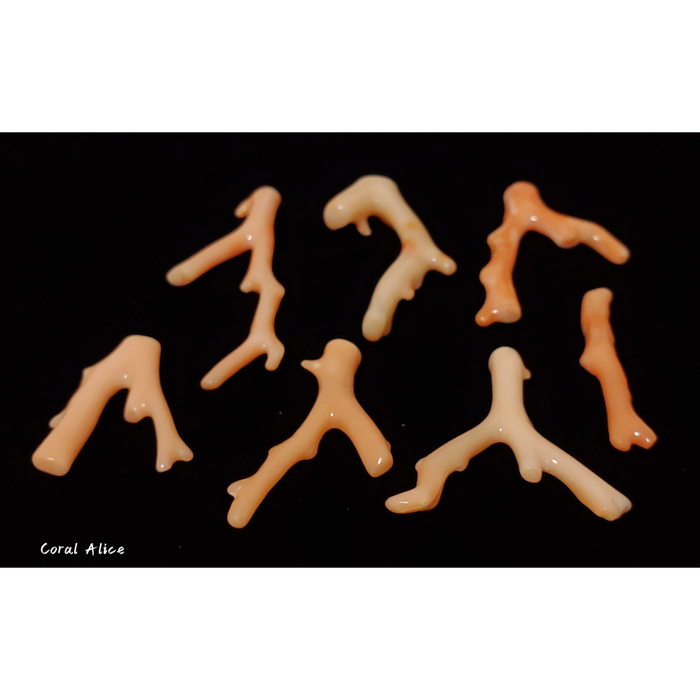 🌟Coral珊寶手作-天然深水珊瑚自然枝(頂半孔) CO2P1-961-細節圖4