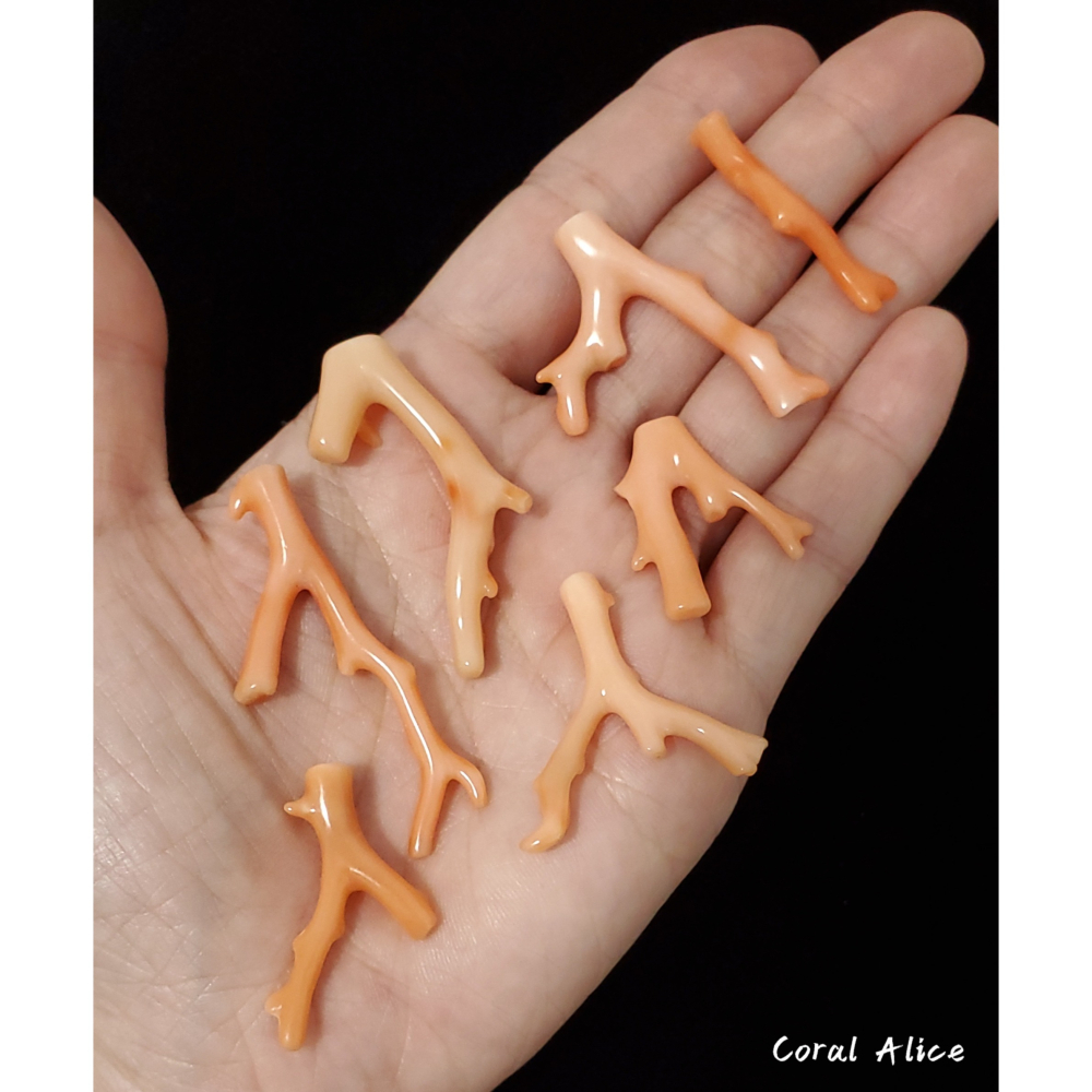 🌟Coral珊寶手作-天然深水珊瑚自然枝(頂半孔) CO2P1-961-細節圖7